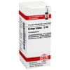 DHU Ginkgo biloba D 30 Globuli, 10 g
