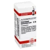 DHU Histaminum hydrochloricum D 30 Globuli, 10 g