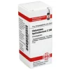 DHU Histaminum hydrochloricum C 200 Globuli, 10 g