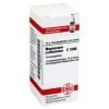 DHU Magnesium carbonicum C 1000, 10 g