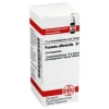 DHU Paeonia officinalis D 6 Globuli, 10 g