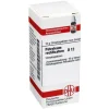 DHU Petroleum rectificatum D 12 Globuli, 10 g