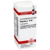 DHU Phytolacca D 30 Globuli, 10 g