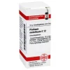DHU Platinum metallicum C 12 Globuli, 10 g