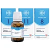 DHU Schüssler-Salze Haut-und-Haar-Kur Tabletten, 3x200, 600 St