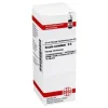 DHU Secale cornutum D 6 Dilution, 20 ml