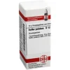 DHU Sulfur jodatum D 12 Globuli, 10 g