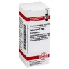 DHU Tabacum C 200 Globuli, 10 g