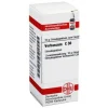 DHU Verbascum C 30 Globuli, 10 g