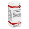 DHU Vespa Crabro D 12 Globuli, 10 g