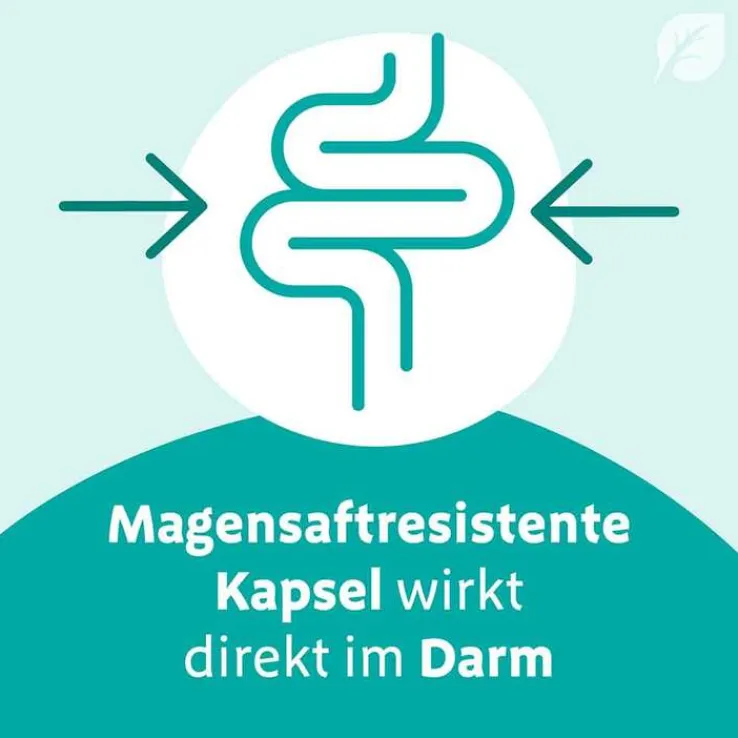 Digestopret® magensaftresistente Weichkapseln, 15 St