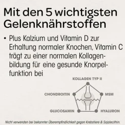 Dr. Böhm Knorpel & Knochen Tabletten, 60 St