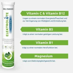 Dr. Theiss Elektrolüte Senior Brausetabletten, 20 St