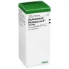 Dulcamara Homaccord Tropfen, 100 ml