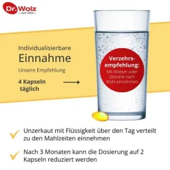 EPA 1000 mg Dr. Wolz Kapseln, 60 St