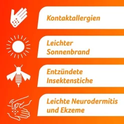 FeniHydrocort Creme 0,25 %, Hydrocortison 2,5 mg/g, wirksam bei Hautentzündungen, 20 g