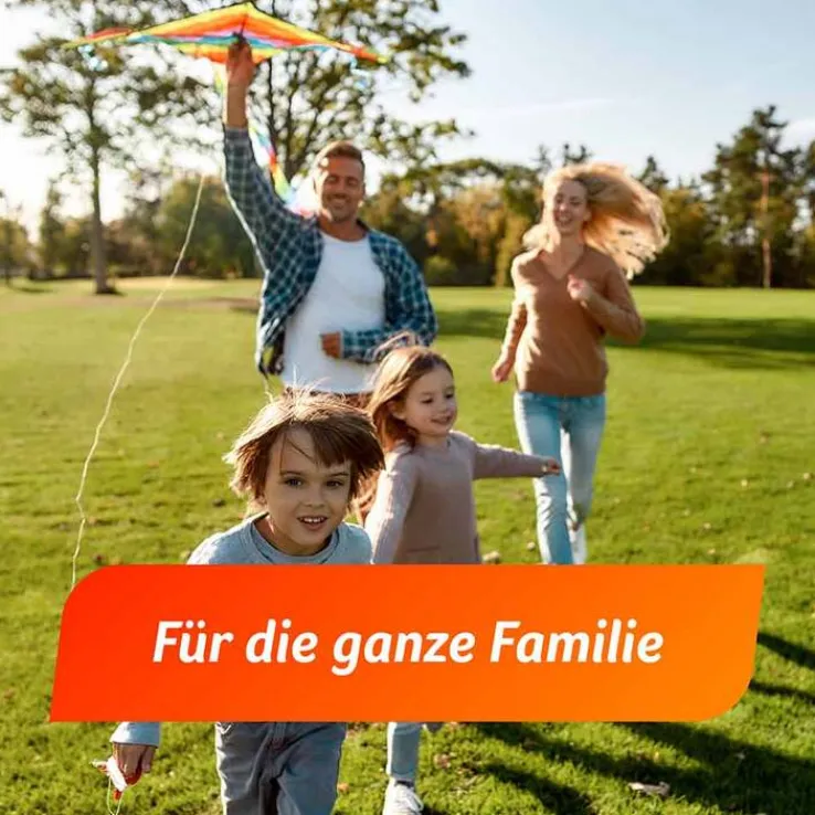 Fenistil GEL Dimetindenmaleat 1 mg/g, zur Linderung von Juckreiz, 50 g