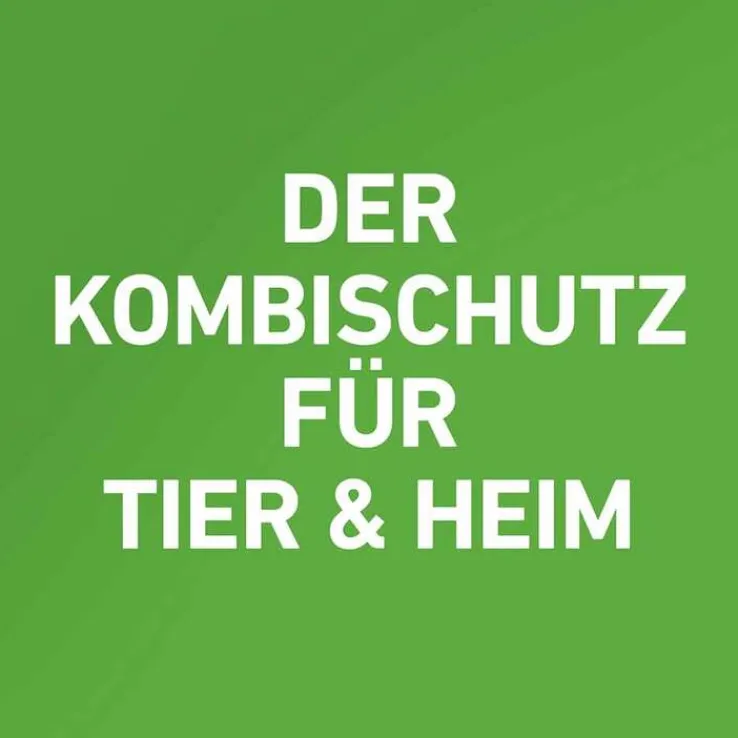 FRONTLINE COMBO® gegen Zecken, Flöhe bei Hunden L (20-40 kg), 3 St
