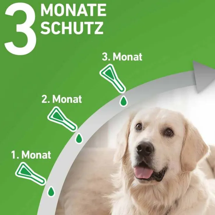 FRONTLINE COMBO® gegen Zecken, Flöhe bei Hunden XL (40-60 kg), 3 St