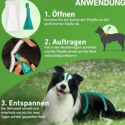 FRONTLINE COMBO® gegen Zecken, Flöhe bei Hunden M (10-20 kg), 3 St