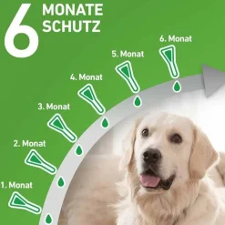 FRONTLINE COMBO® gegen Zecken, Flöhe bei Hunden S (2 -10 kg), 6 St