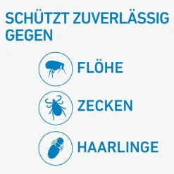 FRONTLINE® SPOT ON Hund L Lösung, 3 St