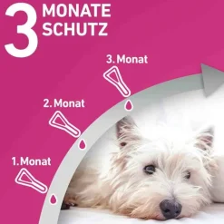 FRONTLINE TRI-ACT® gegen Zecke, Floh und fliegende Insekten bei Hunden (5-10kg), 3 St