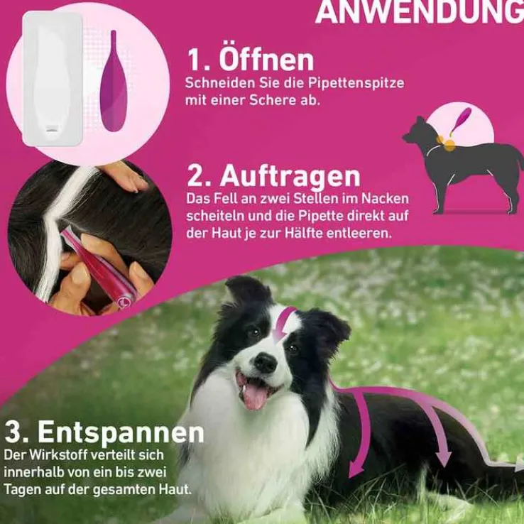 FRONTLINE TRI-ACT® gegen Zecke, Floh und fliegende Insekten bei Hunden (40-60kg), 6 St