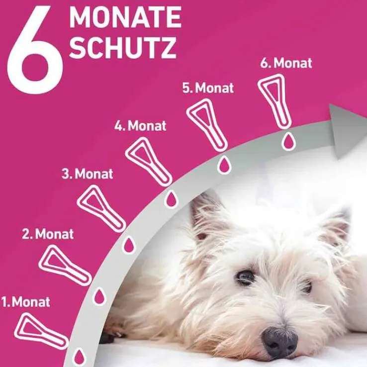 FRONTLINE TRI-ACT® gegen Zecke, Floh und fliegende Insekten bei Hunden (40-60kg), 6 St