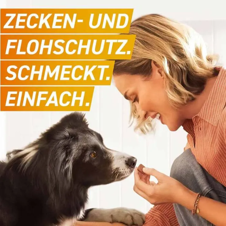FRONTPRO 68 mg Kautabletten für Hunde 10 - 25 kg, 3 St