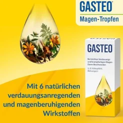 GASTEO Tropfen bei Magen-Darm-Beschwerden, 100 ml