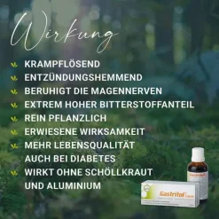 Gastritol® Liquid Flüssigkeit zum Einnehmen, 100 ml