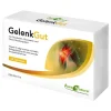 Gelenkgut Tabletten, 60 St