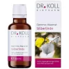 Gemmo Mazerat Silberlinde Dr. Koll Tilia tomentosa, 50 ml