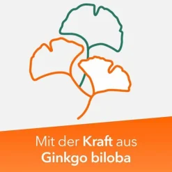 Ginkobil ratiopharm 120mg mit Ginkgo biloba, 30 St