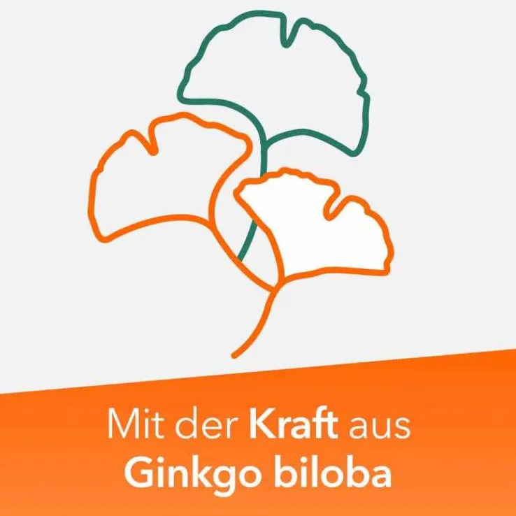 Ginkobil ratiopharm 120mg mit Ginkgo biloba, 30 St