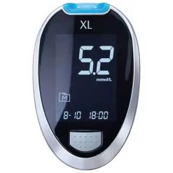 Gluco Check XL Blutzuckermess Set mmol / l, 1 St