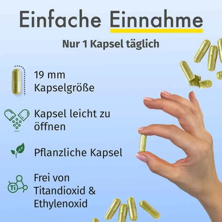 Green Naturals Jod aus Bio-Kelp 200 µg Kapseln, 365 St