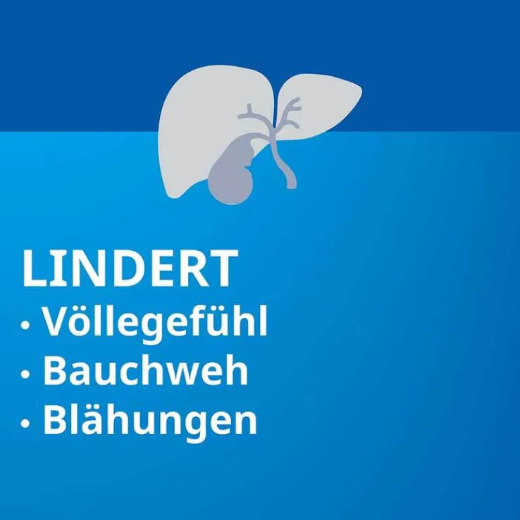 Heparstad® Artischocken, 50 St