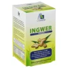 Ingwer 500 mg Kapseln + Vitamin B1 + C, 90 St