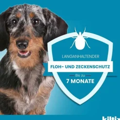 Kiltix für mittelgroße Hunde Halsband, 1 St