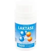 Laktase 1500 FCC Enzym Kapseln, 100 St