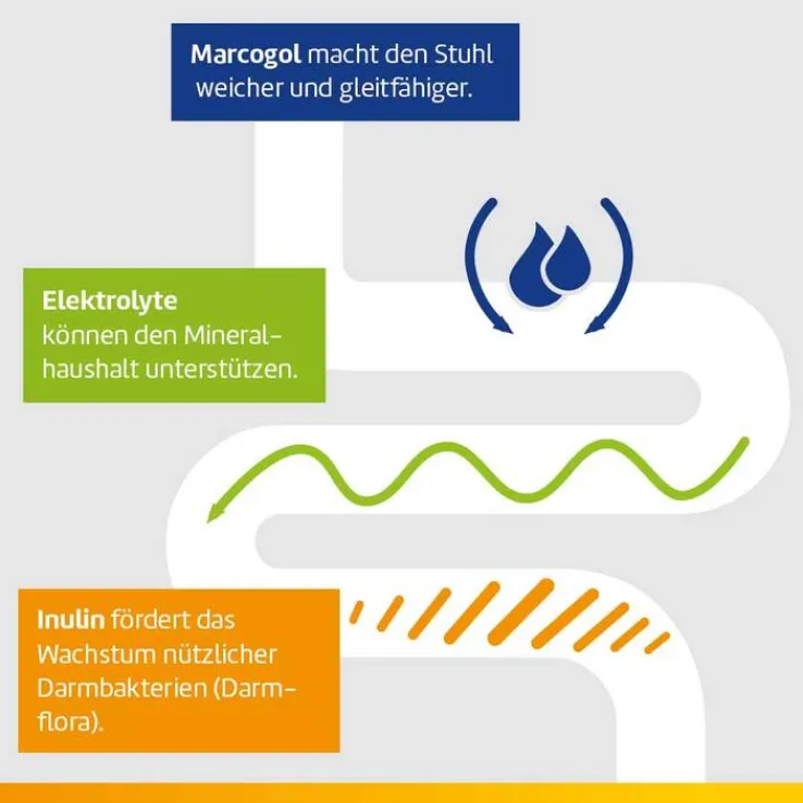 Laxatan M Granulat zur Herstellung einer Suspension zum Einnehmen , 48 St