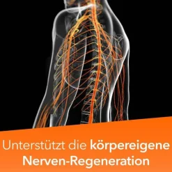 Neuropax-ratiopharm forte Kapseln, 40 St