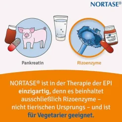 NORTASE Kapseln vegetarische Verdauungsenzyme, 20 St