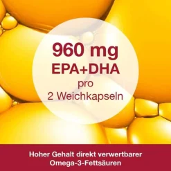 Omega 3-Loges plus Kapseln, 60 St