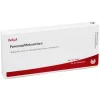 Pancreas / Meteoreisen Ampullen, 10X1 ml