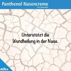 Panthenol Nasencreme Jenapharm, 5 g
