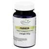 Papaya Frucht Pulver, 50 g