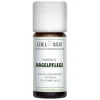 Propolis Nagelpflege, 10 ml
